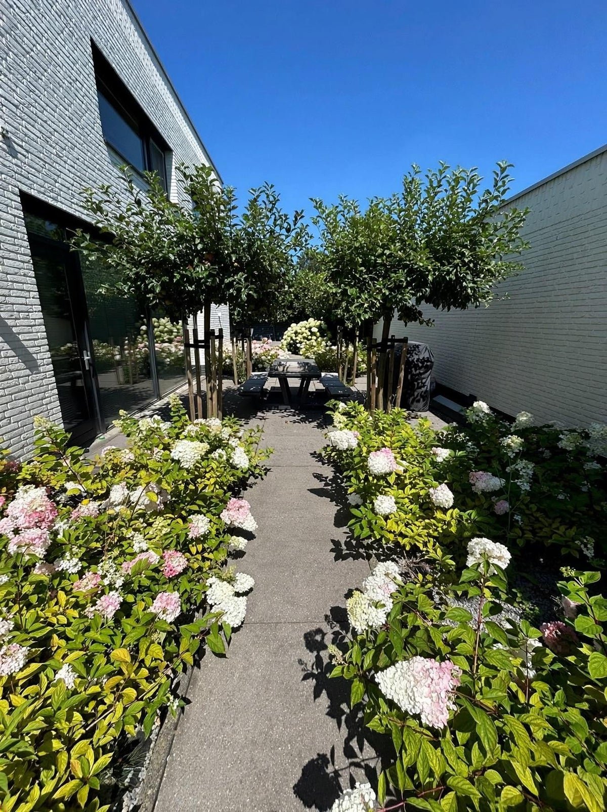 Lamsrustlaan, 3054VG Rotterdam