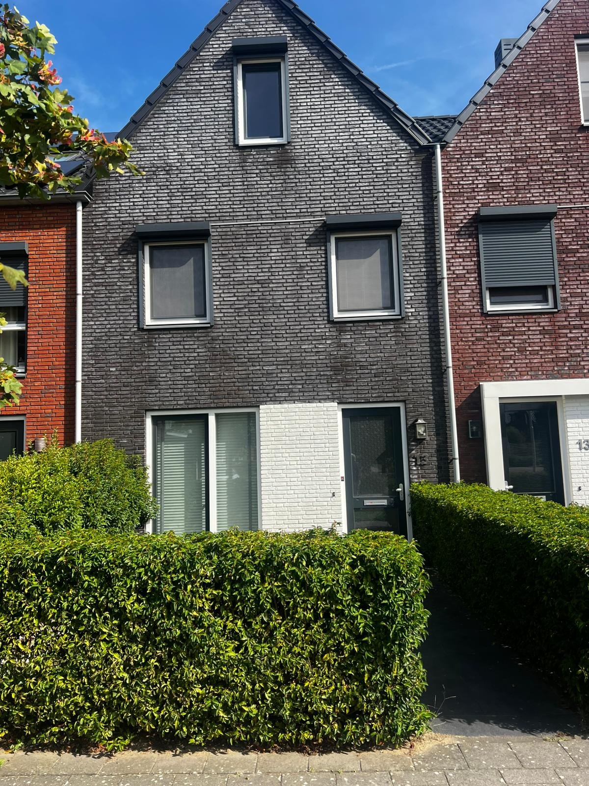 Houtblazerspad, 3261GB Oud-Beijerland