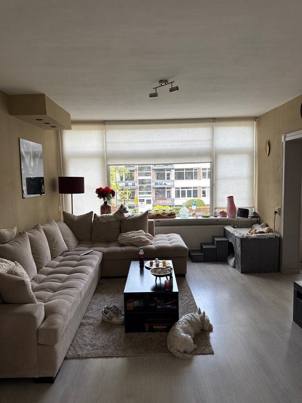 bd4422640310c494ee0362d97bde87c8 appartement