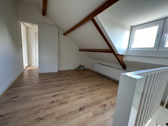 Willem Vliegenstraat, 6214AV Maastricht