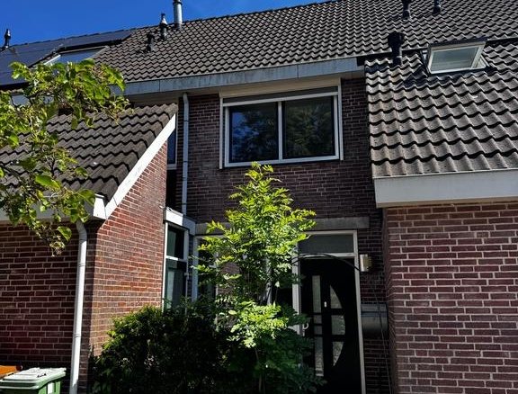 Hondsdraf, 1689NN Zwaag