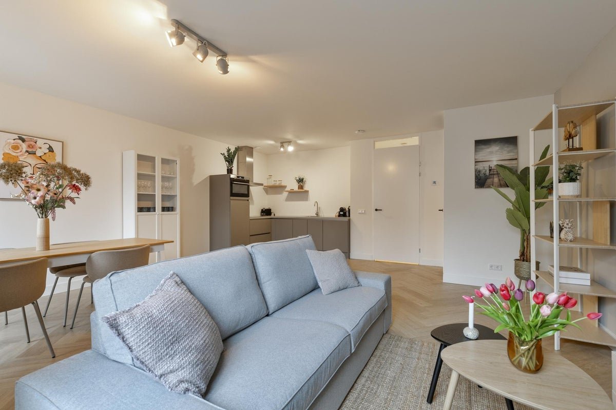 cfce1c0067c6c4f6df7ef9e665bf87d3 appartement