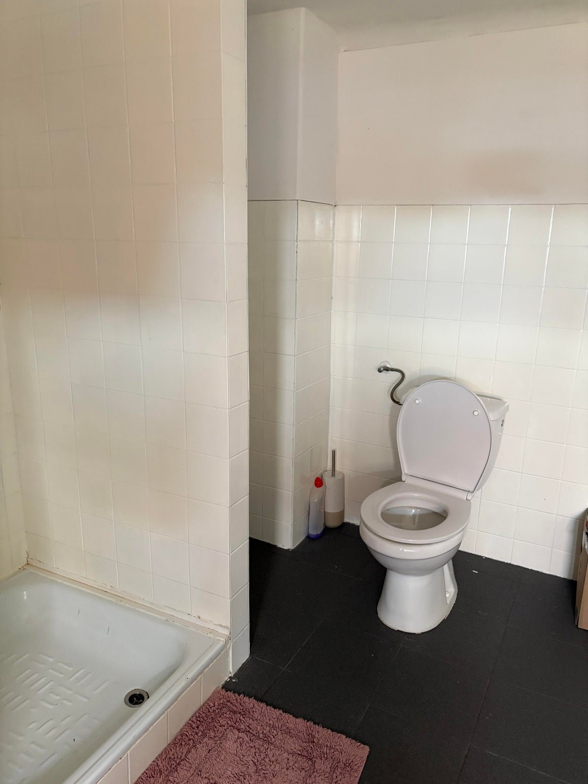 d8d7ddc4dcfc6fdd24c607c78290b28f appartement