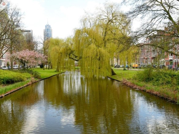 Spoorsingel, 3033GH Rotterdam