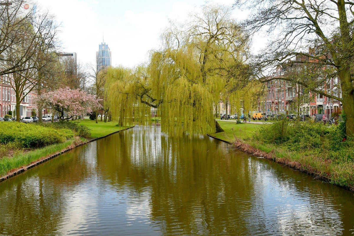 Spoorsingel, 3033GH Rotterdam
