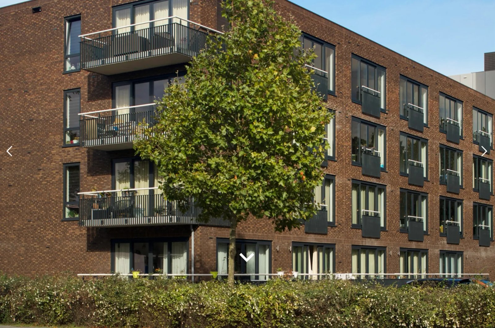 dc732c51-4b7f-4f66-bb6d-47f80b8c7ae8 Woning aan de Pisanostraat te Eindhoven