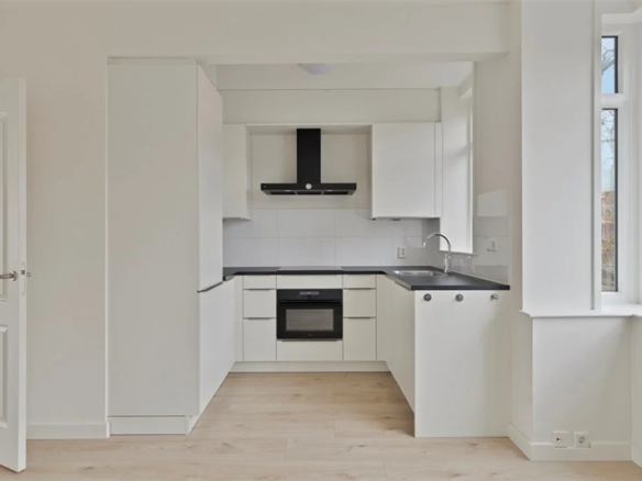 Paulus Potterlaan, 2282GD, Rijswijk Zh