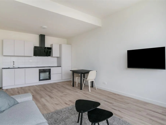 Wethouder Hillenaarplnts, 2284VS, Rijswijk Zh