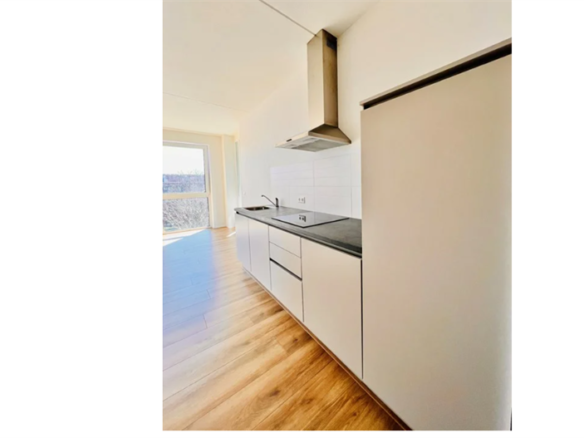 Laakweg, 2521SC, Den Haag