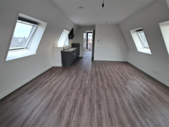 Gedempte Molenwijk, 8442BG, Heerenveen