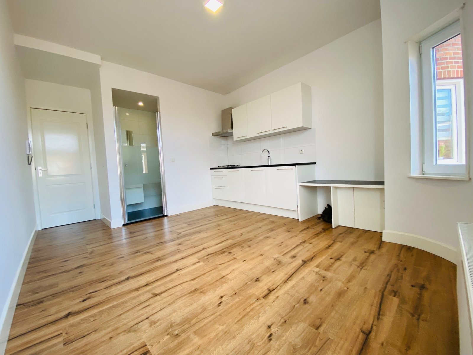 Larensestraat, 2574VG, Den Haag