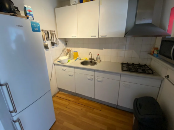 Levendaal, 2311JH, Leiden