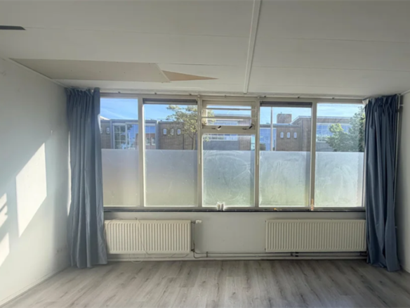 C. van Maasdijkstraat, 3555VP, Utrecht