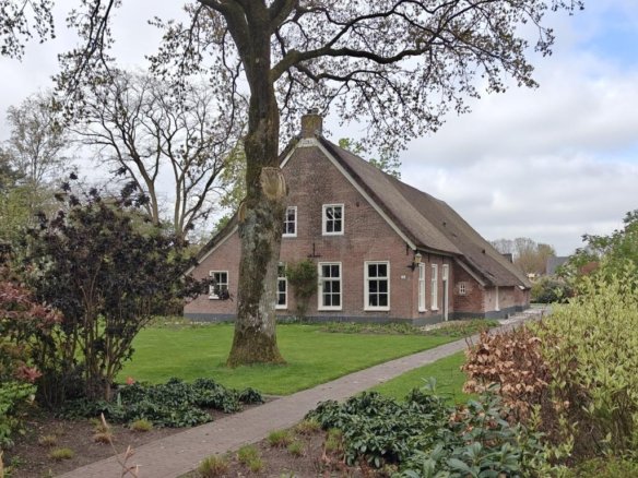 Brinkstraat, 9491AL, Zeijen