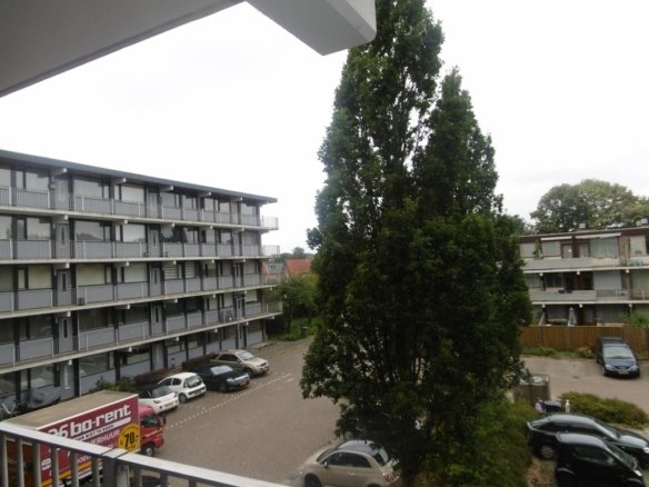 Meidoornweg, 1171KD, Badhoevedorp