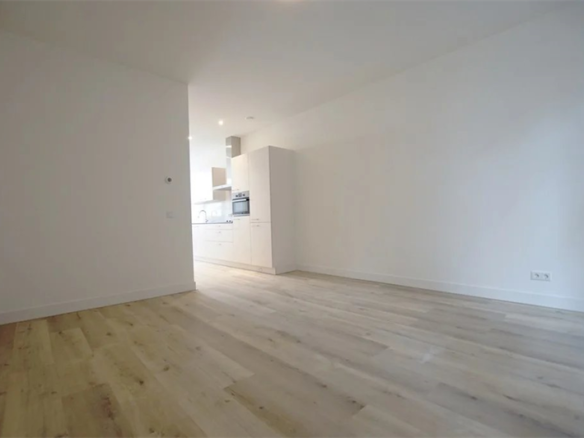 Paradijslaan, 3034ST, Rotterdam