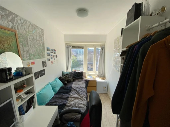 Peizerweg, 9726JD, Groningen