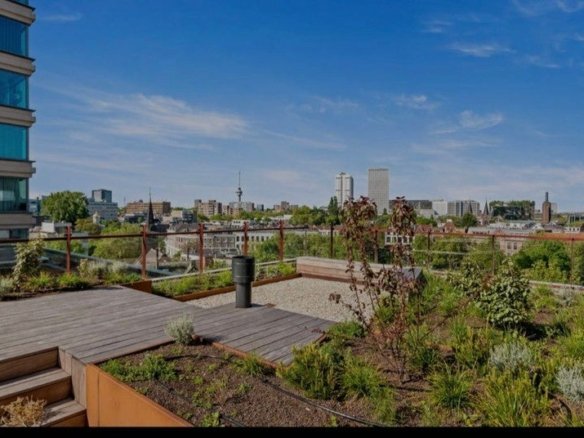 Baan, 3011CA Rotterdam
