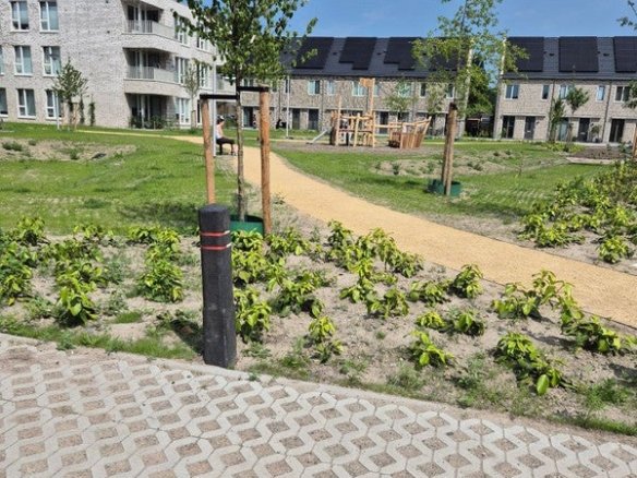 Trompstraat, 2992BP Barendrecht