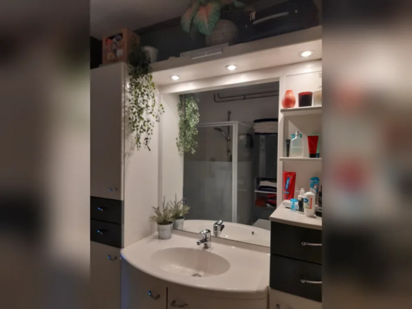 Veenpluispad, 4731WV Oudenbosch