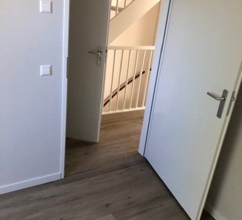 Otterstraat, 5622AL Eindhoven
