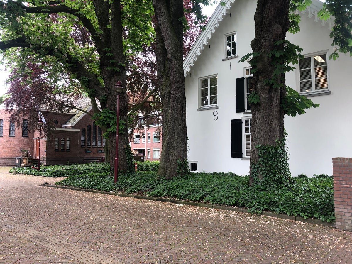 f8eacc94cc70b130bdc1d225c260487f appartement