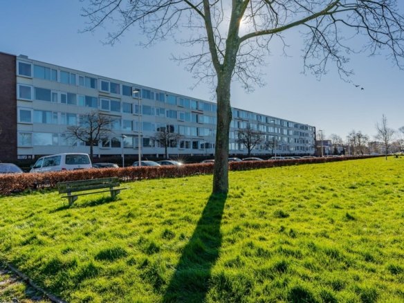 Rooseveltlaan, 3526BJ Utrecht