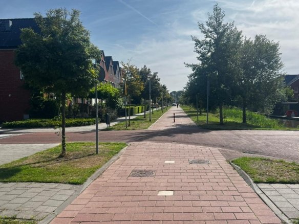 Houtblazerspad, 3261GB Oud-Beijerland