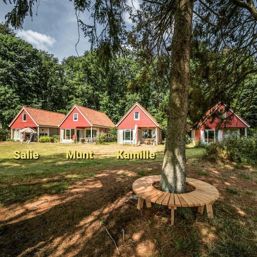 ffa9420d7caa4efd4293a98586bcda2b huis