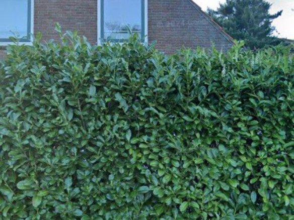 Kamer in Rhenen
