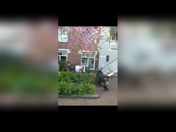 Nieuwe Houttuinen, 1013DA Amsterdam