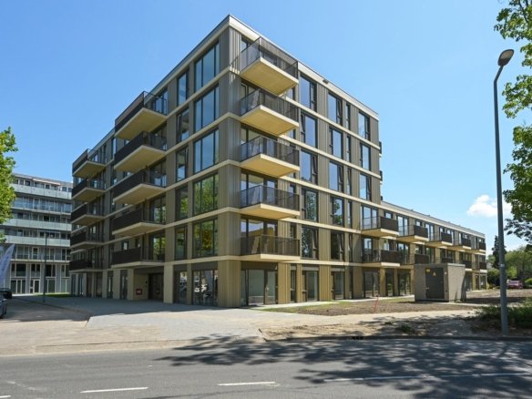 Kruisnetlaan, 3192KD Hoogvliet Rotterdam