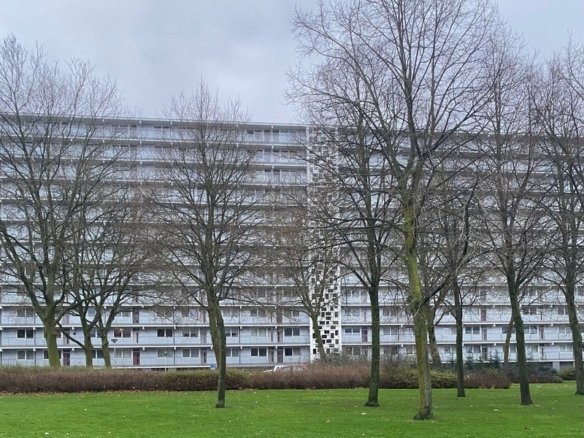Peter Schunckstraat, 6418VC Heerlen