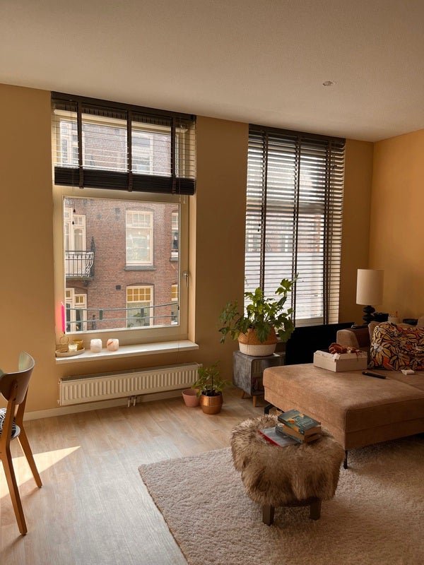 Van Ostadestraat, 1074VZ Amsterdam