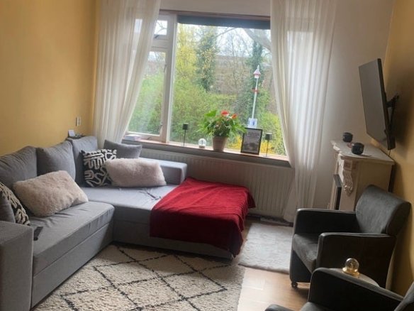 Walnootstraat, 2555XL Den Haag