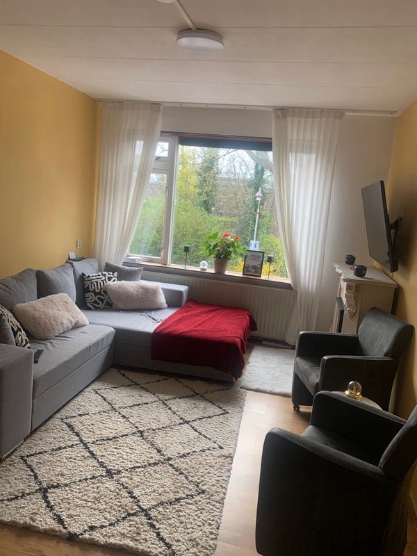 Walnootstraat, 2555XL Den Haag