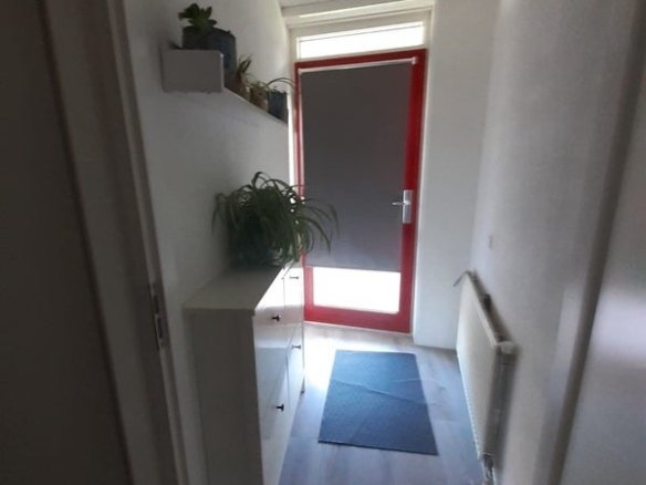 Wingerdweg, 1031CA Amsterdam