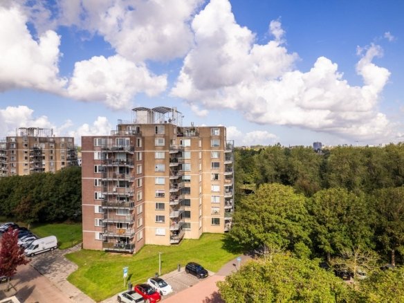 Zuster Meijboomstraat, 2331PG Leiden