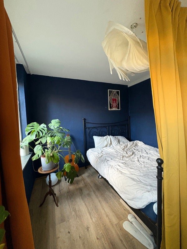 80ad9939-bab7-53cf-963b-8223b656a2c2 Morsestraat, 2517PM Den Haag
