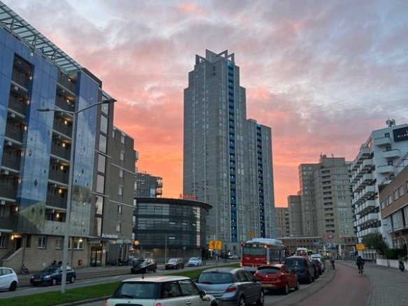 Zwolsestraat, 2587TZ Den Haag