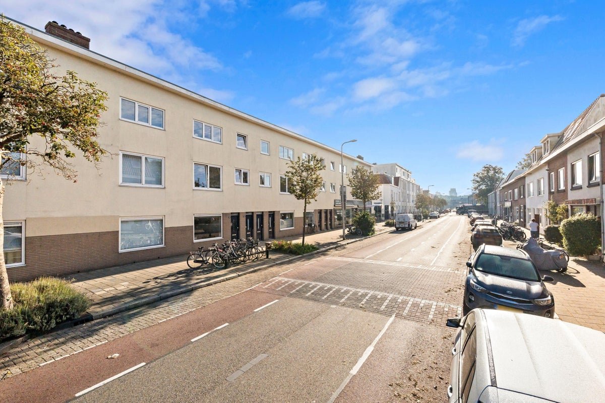 Laan van Nieuw-Guinea, 3531JE Utrecht
