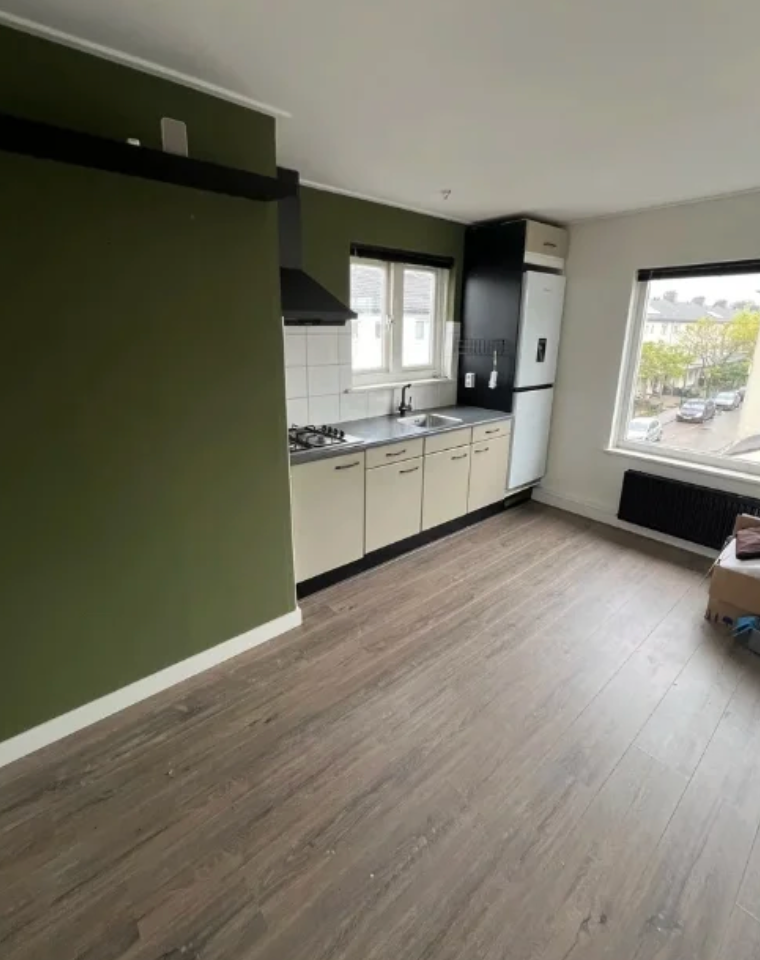 Adriaan van Ostadestraat, 3601RE, Maarssen