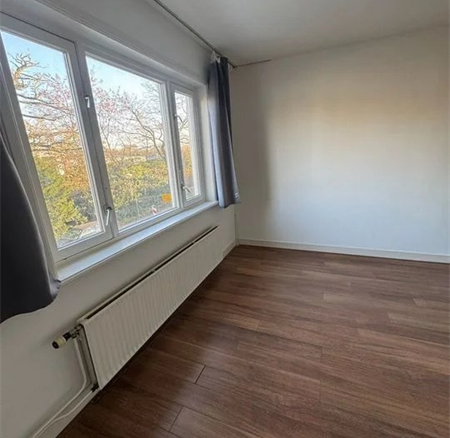 Scheidingstraat, 5654AA, Eindhoven