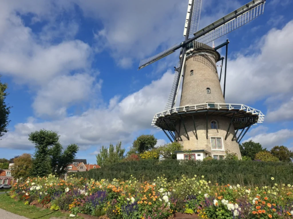Waalstraat, 1823ES Alkmaar