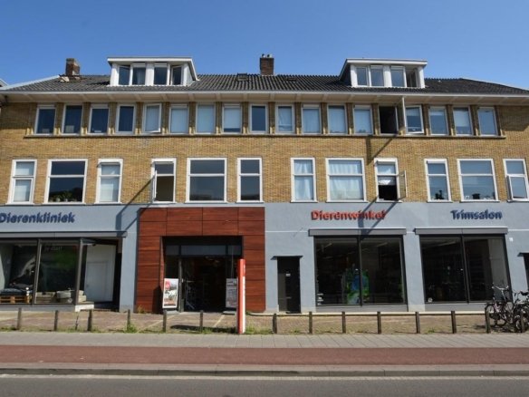 Amsterdamseweg, 6814GL Arnhem